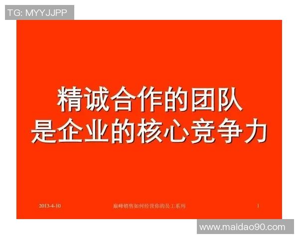 篮球精神与团队协作的完美融合探索，如何打造冠军球队的核心竞争力